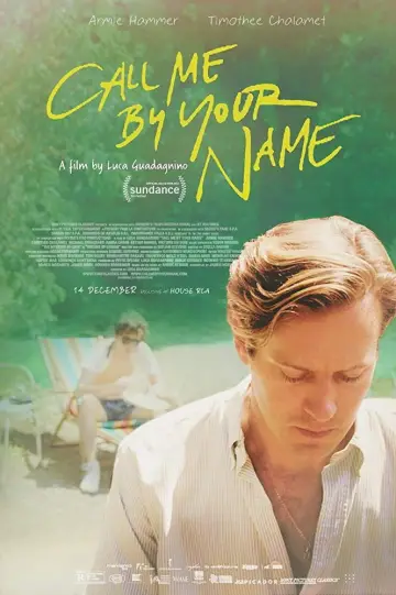 Poster to the movie "Call Me by Your Name" #954507