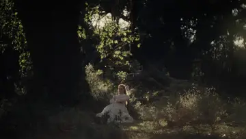 Backdrop to the movie "The Beguiled" #868751