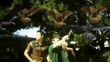 Backdrop to the movie "Birdemic: Shock and Terror" #1067104