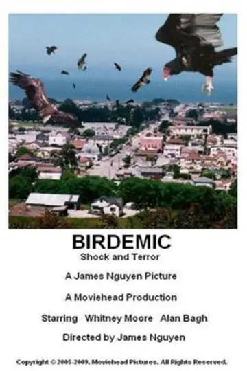Poster to the movie "Birdemic: Shock and Terror" #1067109
