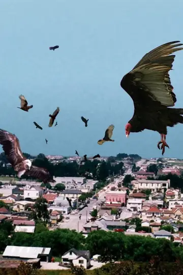 Poster to the movie "Birdemic: Shock and Terror" #1067111