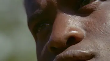 Backdrop to the movie "Africa Blood and Guts" #916778