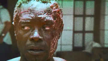 Backdrop to the movie "Africa Blood and Guts" #916780