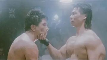 Backdrop to the movie "Bloodfight" #714394