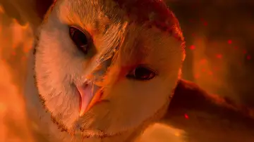 Backdrop to the movie "Legend of the Guardians: The Owls of Ga