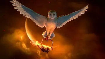 Backdrop to the movie "Legend of the Guardians: The Owls of Ga