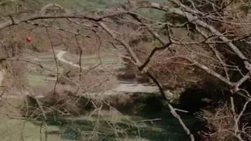 Backdrop to the movie "Lone Wolf and Cub: Baby Cart in Peril" #1043887