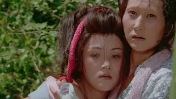 Backdrop to the movie "Lone Wolf and Cub: Baby Cart to Hades" #948500