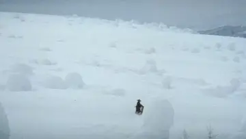 Backdrop to the movie "Lone Wolf and Cub: White Heaven in Hell" #1071728