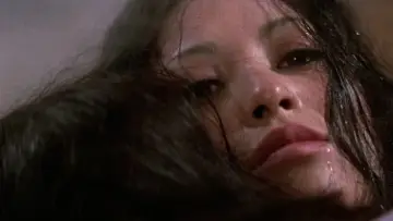 Backdrop to the movie "Lone Wolf and Cub: White Heaven in Hell" #1071742