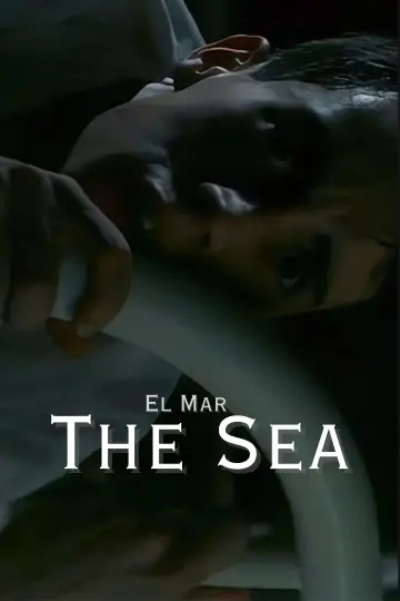 The Sea poster