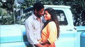 Backdrop to the movie "Mississippi Masala" #1120616