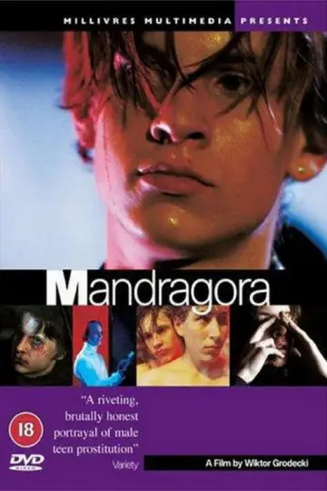 Poster to the movie "Mandragora" #945726