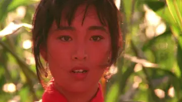 Backdrop to the movie "Red Sorghum" #861656