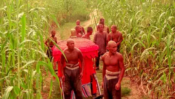 Backdrop to the movie "Red Sorghum" #861658