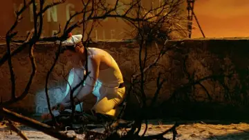 Backdrop to the movie "Querelle" #1044455