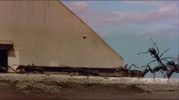Backdrop to the movie "Empire of the Ants" #1038040
