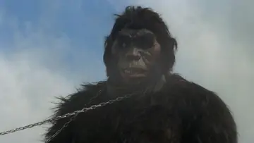 Backdrop to the movie "The Mighty Peking Man" #1616946