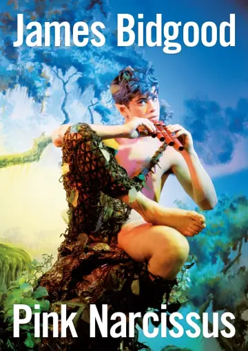 Poster to the movie "Pink Narcissus" #498594