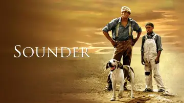 Backdrop to the movie "Sounder" #717983