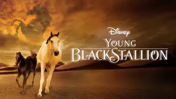 Backdrop to the movie "Young Black Stallion" #1058555