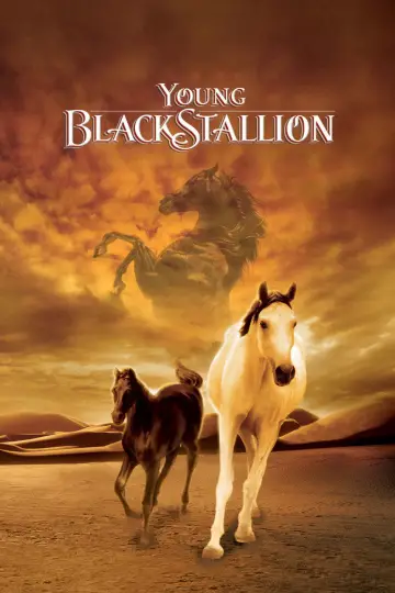 Poster to the movie "Young Black Stallion" #1058560