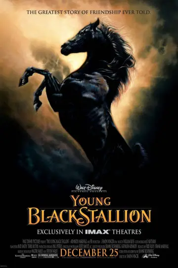 Poster to the movie "Young Black Stallion" #1058562