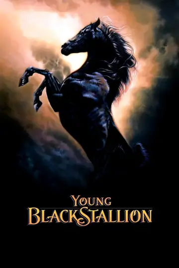 Poster to the movie "Young Black Stallion" #1058563