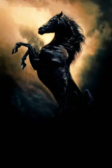 Poster to the movie "Young Black Stallion" #418866