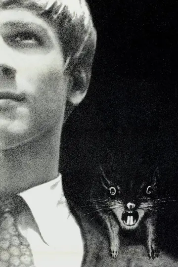 Poster to the movie "Willard" #1087241