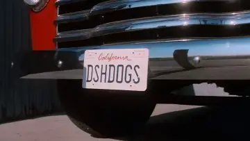 Backdrop to the movie "Dish Dogs" #672550