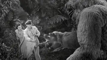 Backdrop to the movie "The Son of Kong" #1013364