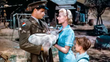 Backdrop to the movie "Peyton Place" #452917