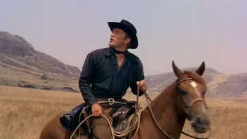 Backdrop to the movie "Man Without a Star" #1065657