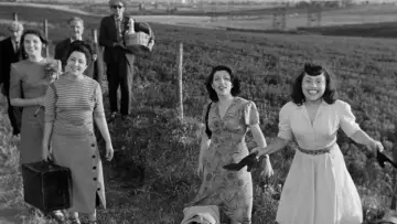 Backdrop to the movie "Variety Lights" #1619490