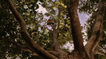 Backdrop to the movie "Flipped" #927643