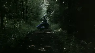 Backdrop to the movie "The Beast" #1084852