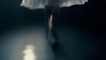Backdrop to the movie "Black Swan" #595697
