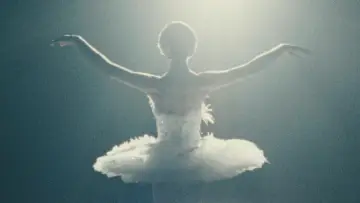 Backdrop to the movie "Black Swan" #595698