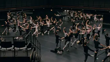 Backdrop to the movie "Black Swan" #595708