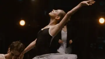 Backdrop to the movie "Black Swan" #595754