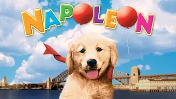 Backdrop to the movie "Napoleon" #646951