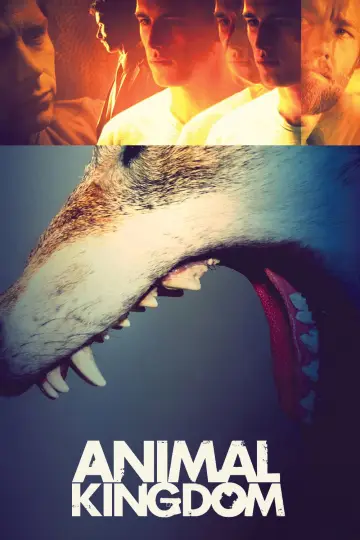 Poster to the movie "Animal Kingdom" #995041