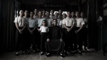 Backdrop to the movie "The Grandmaster" #531951