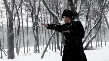 Backdrop to the movie "The Grandmaster" #860817