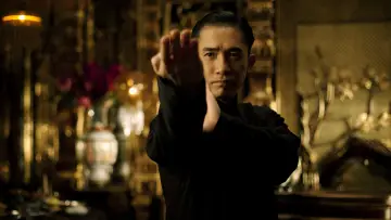 Backdrop to the movie "The Grandmaster" #860819