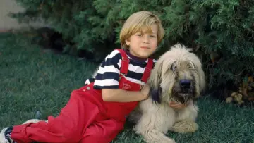 Backdrop to the movie "Dennis the Menace Strikes Again!" #1009299