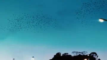 Backdrop to the movie "Biutiful" #906779