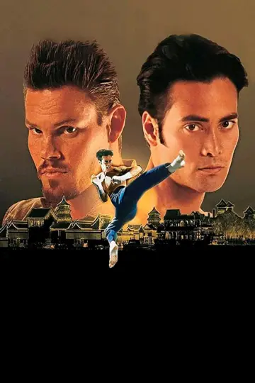 Poster to the movie "The Redemption: Kickboxer 5" #1095814