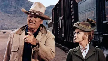 Backdrop to the movie "The Train Robbers" #861005
